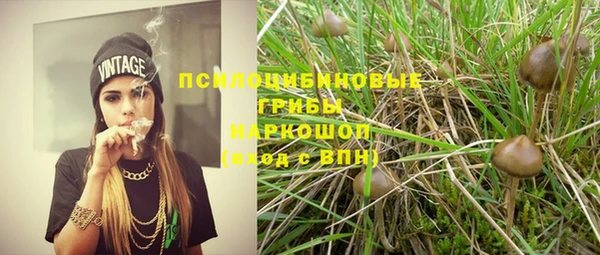 apvp Абаза
